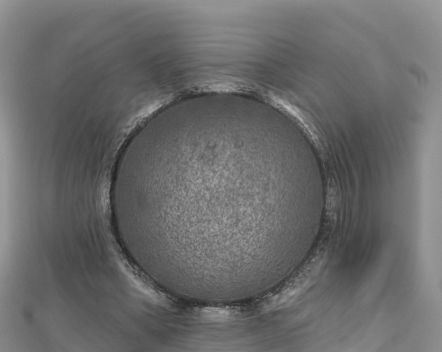 X0000112800394200908281533