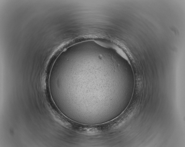 X0000112800395200908281533