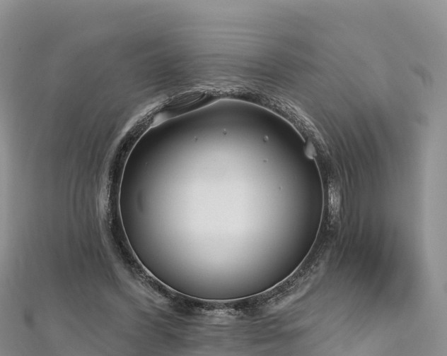X0000112800396200908281533