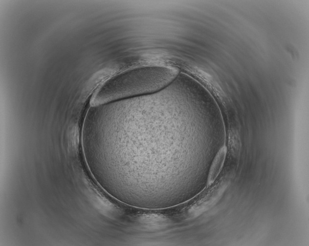 X0000112800397200908281533