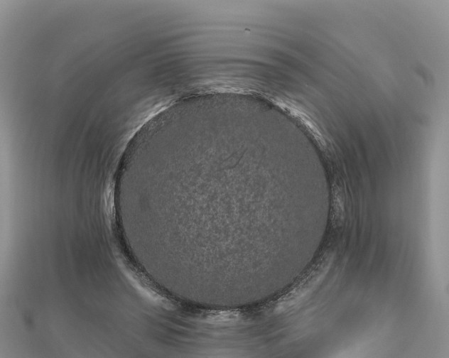 X0000112800398200908281533