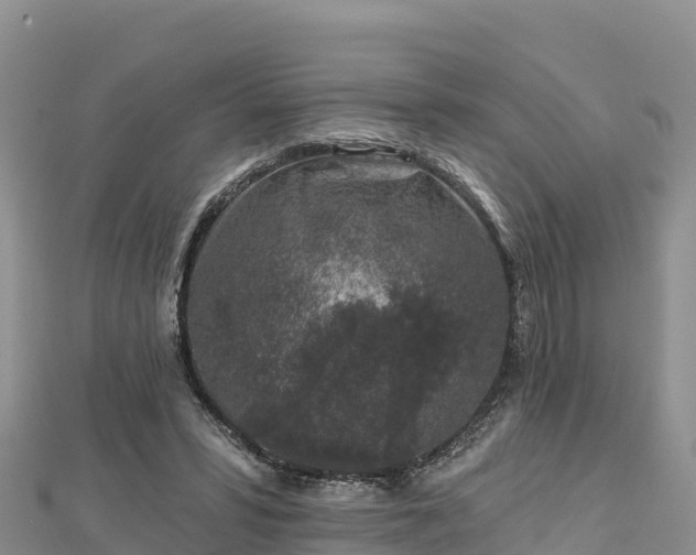 X0000112800399200908281533