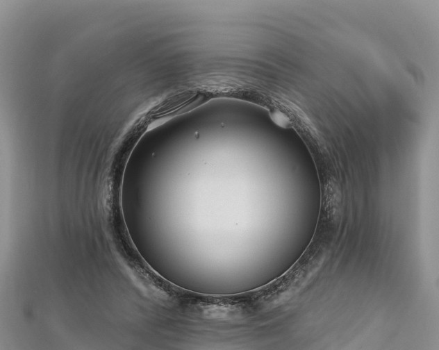 X0000112800400200908281533