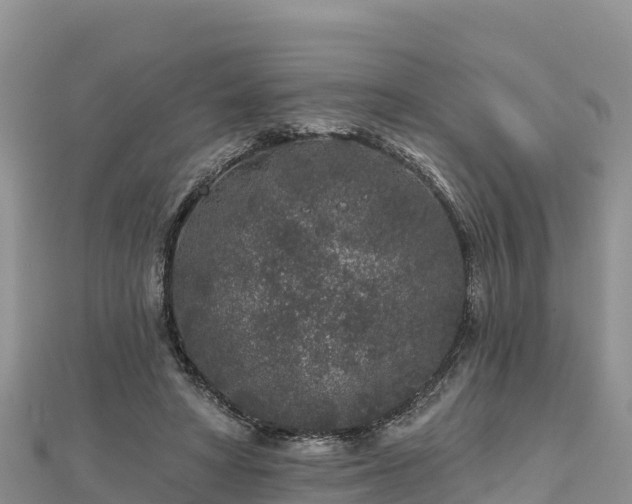X0000112800402200908281533