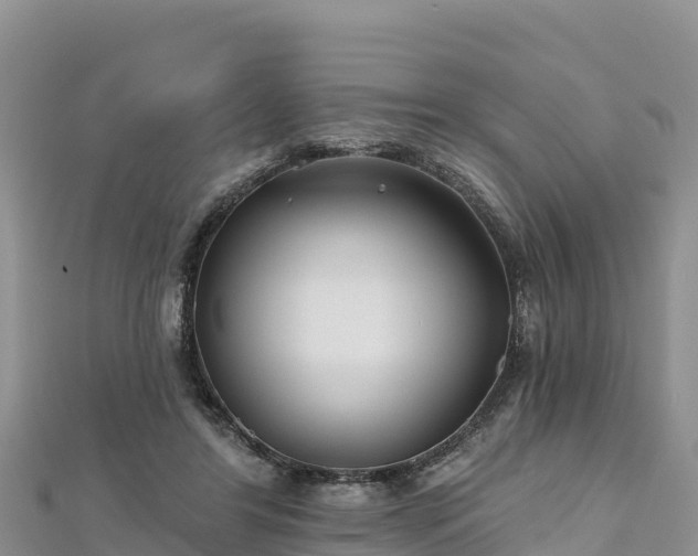 X0000112800404200908281533
