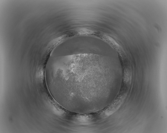 X0000112800405200908281533