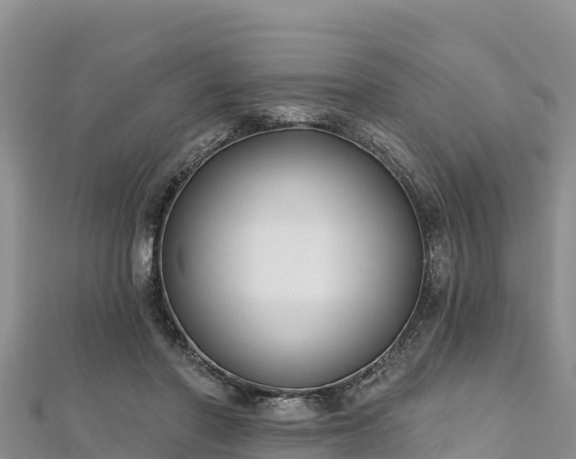 X0000112800406200908281533