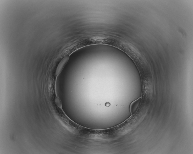 X0000112800408200908281532