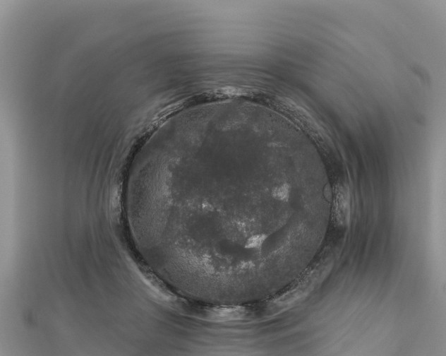 X0000112800410200908281532