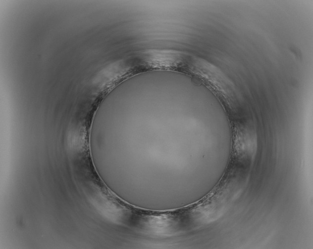 X0000112800411200908281532