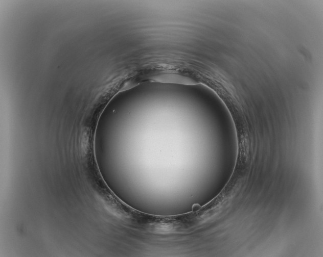 X0000112800412200908281532