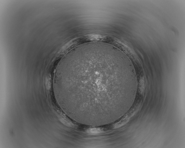 X0000112800413200908281532
