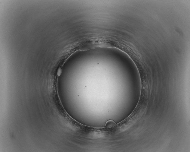 X0000112800416200908281532