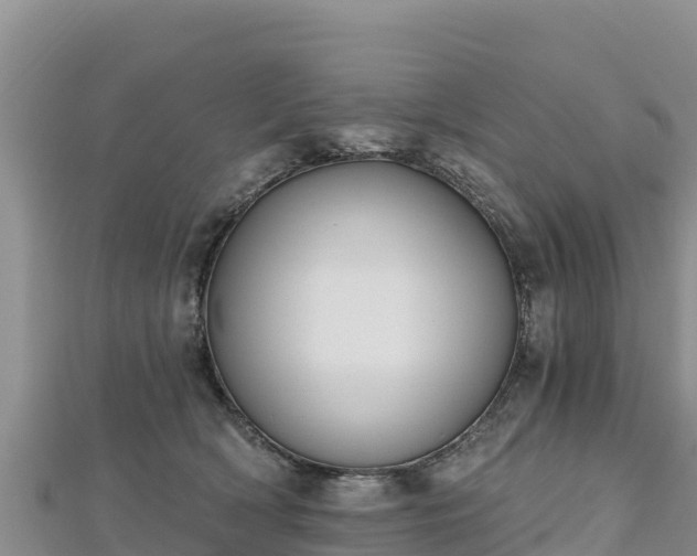 X0000112800418200908281532