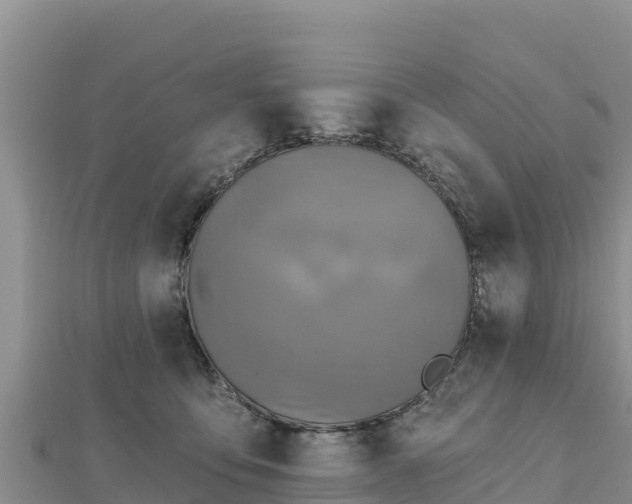 X0000112800419200908281532