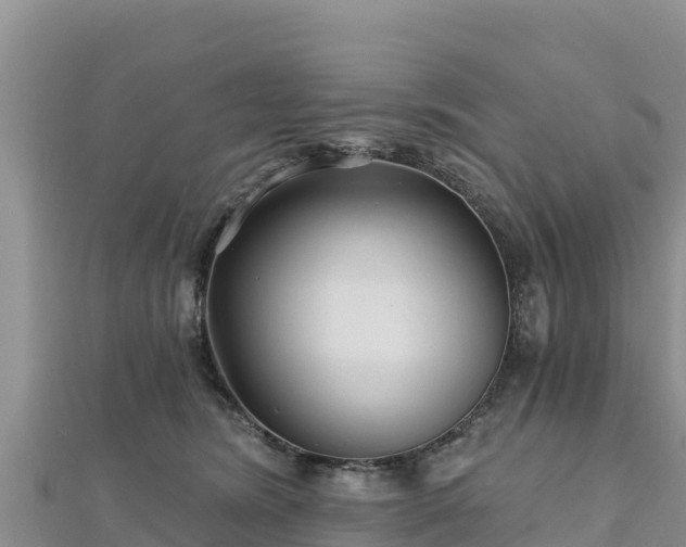 X0000112800420200908281532