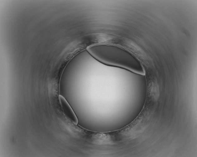 X0000112800421200908281532