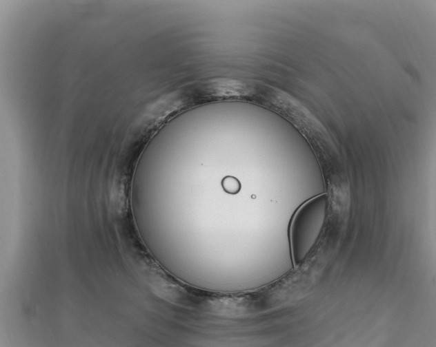 X0000112800422200908281532