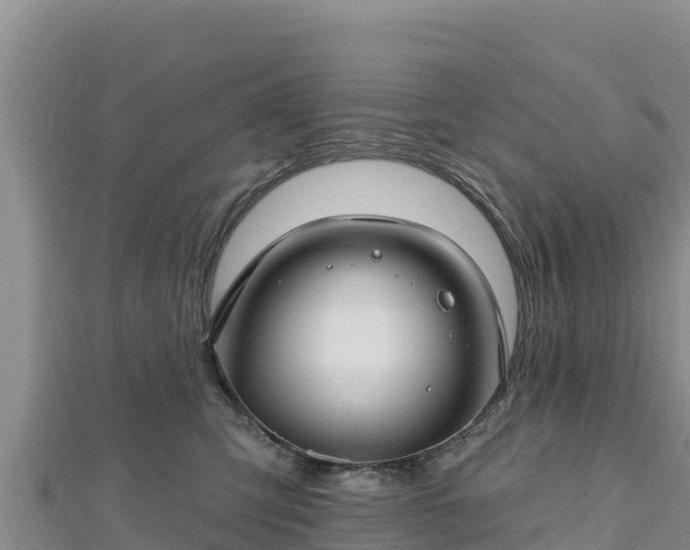 X0000112800423200908281532