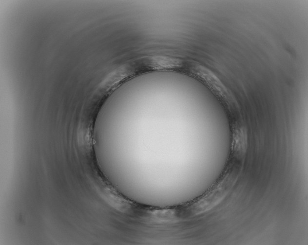 X0000112800426200908281532
