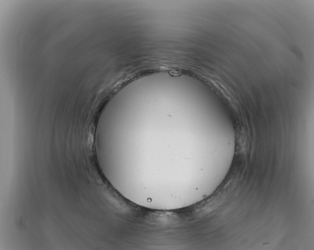 X0000112800427200908281532
