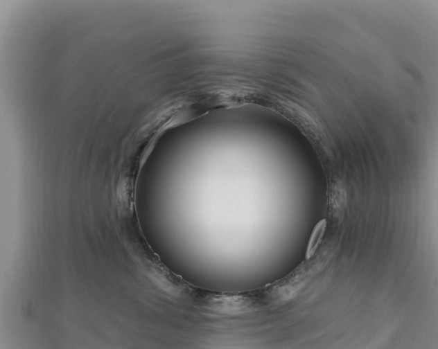 X0000112800428200908281532