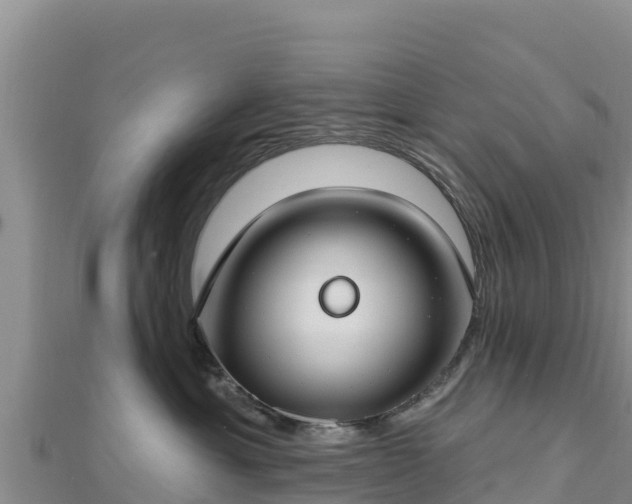 X0000112800429200908281532