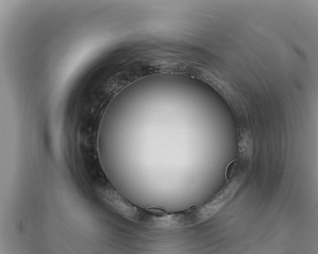 X0000112800430200908281532