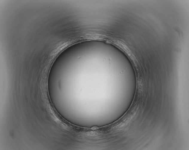 X0000112800433200908281532