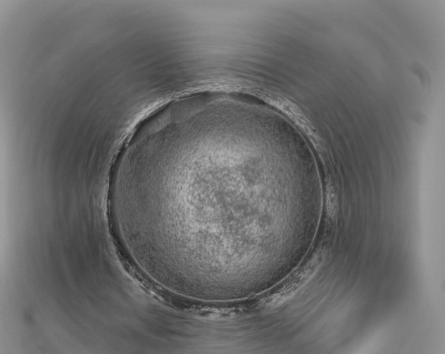 X0000112800434200908281532