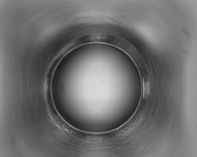 X0000112800435200908281532