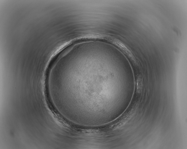 X0000112800436200908281532