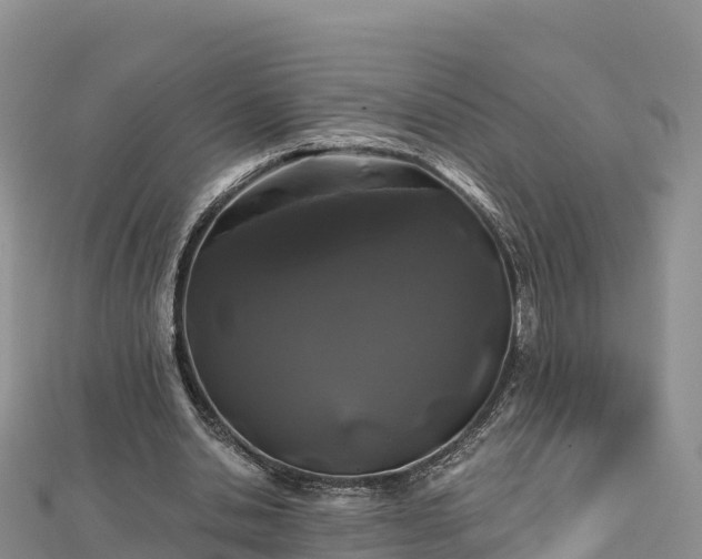 X0000112800438200908281532