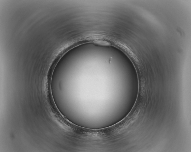 X0000112800439200908281532