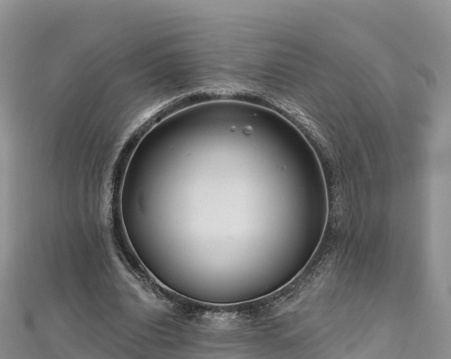 X0000112800440200908281532