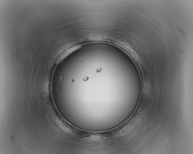 X0000112800441200908281532
