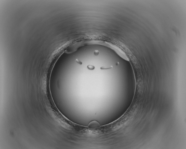 X0000112800442200908281532