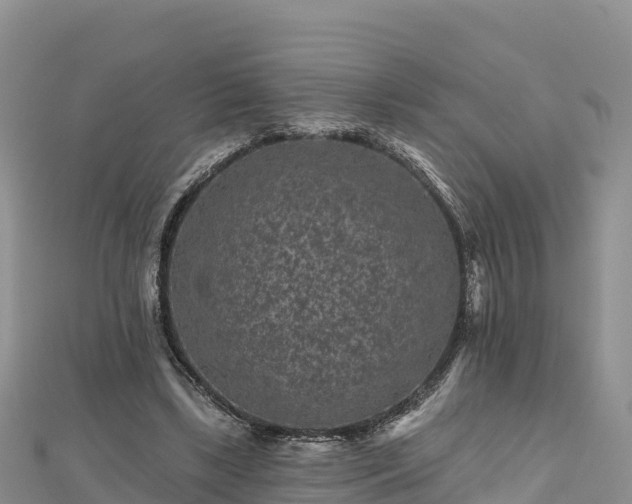 X0000112800443200908281532