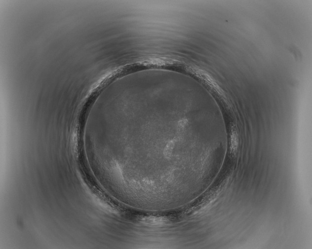 X0000112800444200908281532