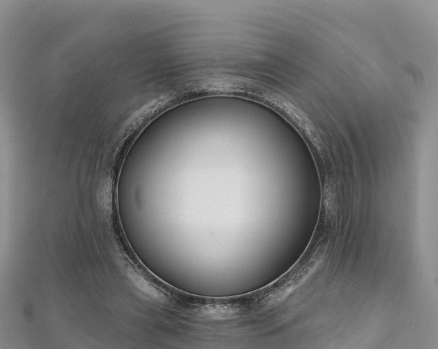 X0000112800445200908281532