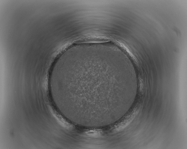 X0000112800447200908281532