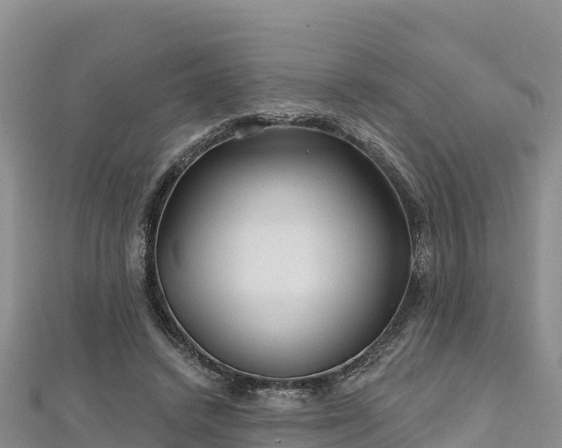 X0000112800448200908281532
