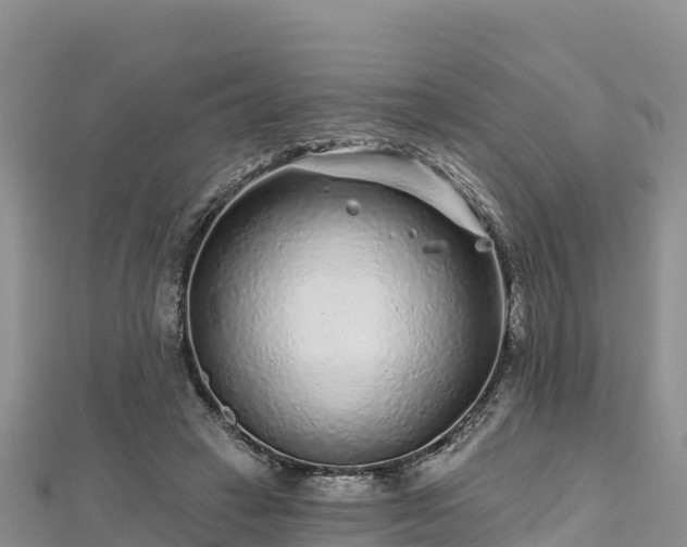 X0000112800449200908281532