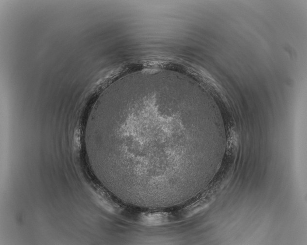 X0000112800452200908281532