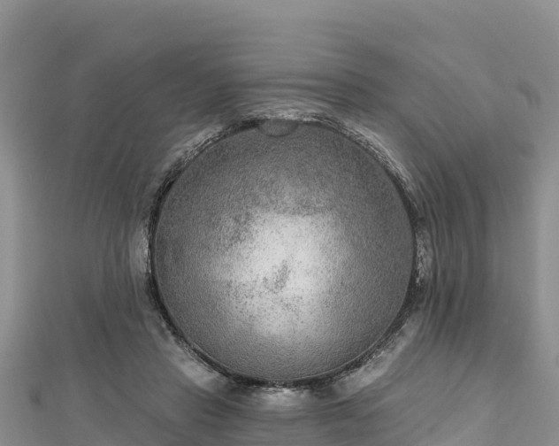 X0000112800453200908281532