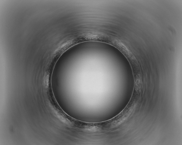 X0000112800454200908281532