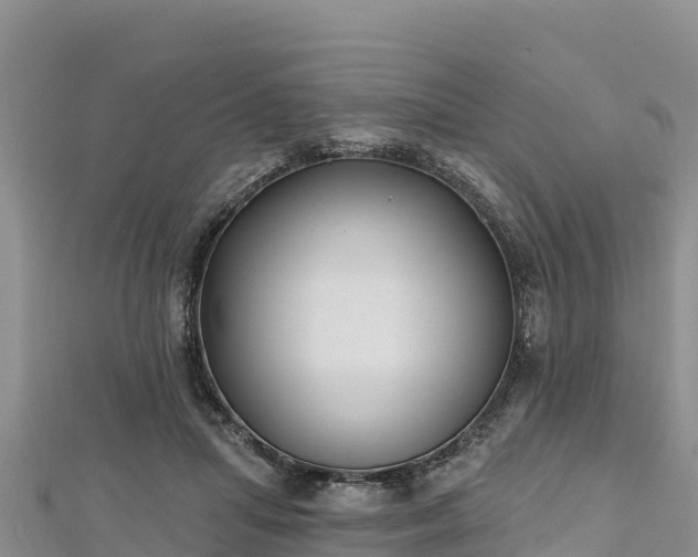 X0000112800455200908281532