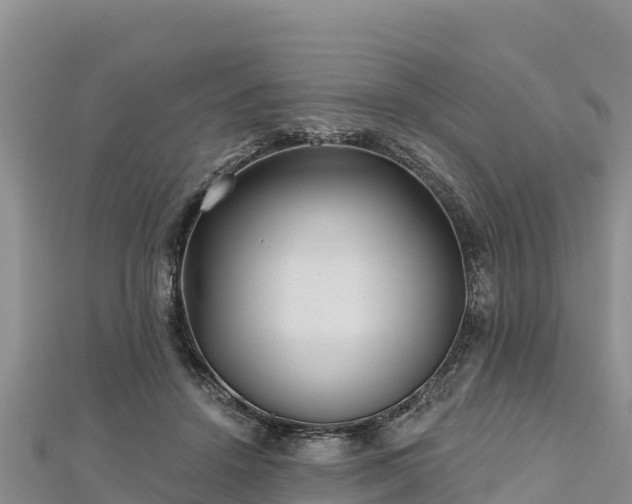 X0000112800456200908281532