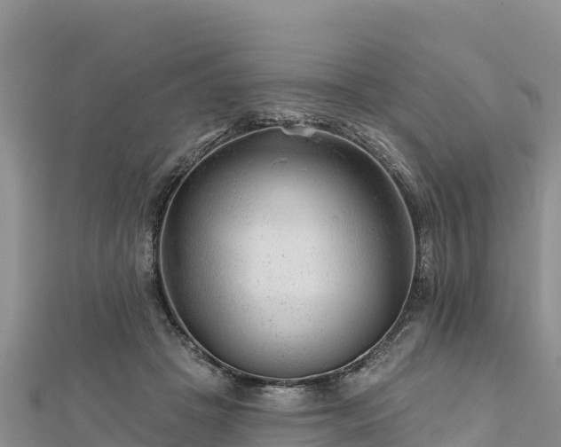 X0000112800457200908281532