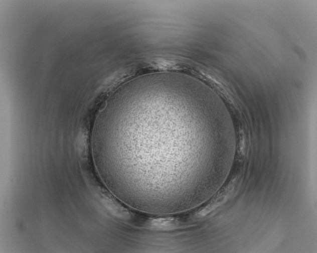 X0000112800461200908281532